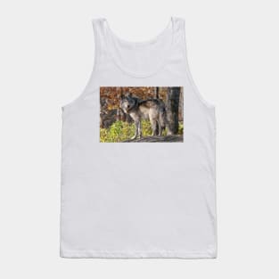 Timber Wolf Tank Top